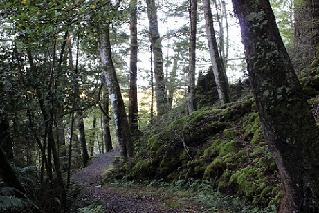 Kepler Track