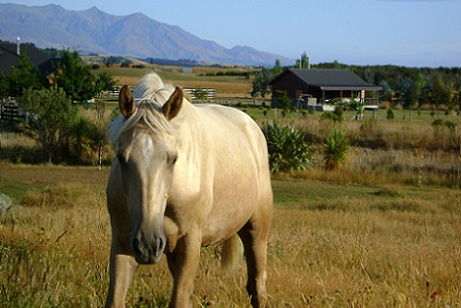 Takitimu Mountains