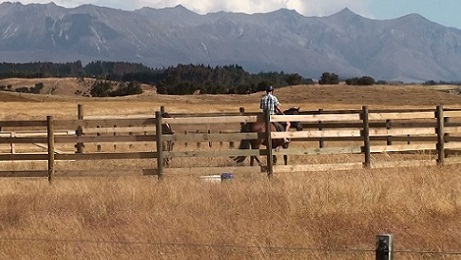 Riding lesson at Kepler Oaks